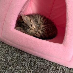 Meet your Posher, Milly